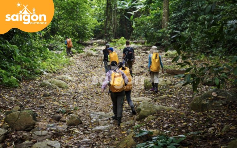 trekking tại rừng nguyên sinh Nam Cát Tiên