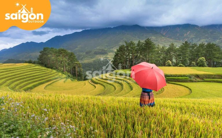 Vẻ đẹp thơ mộng của Sapa