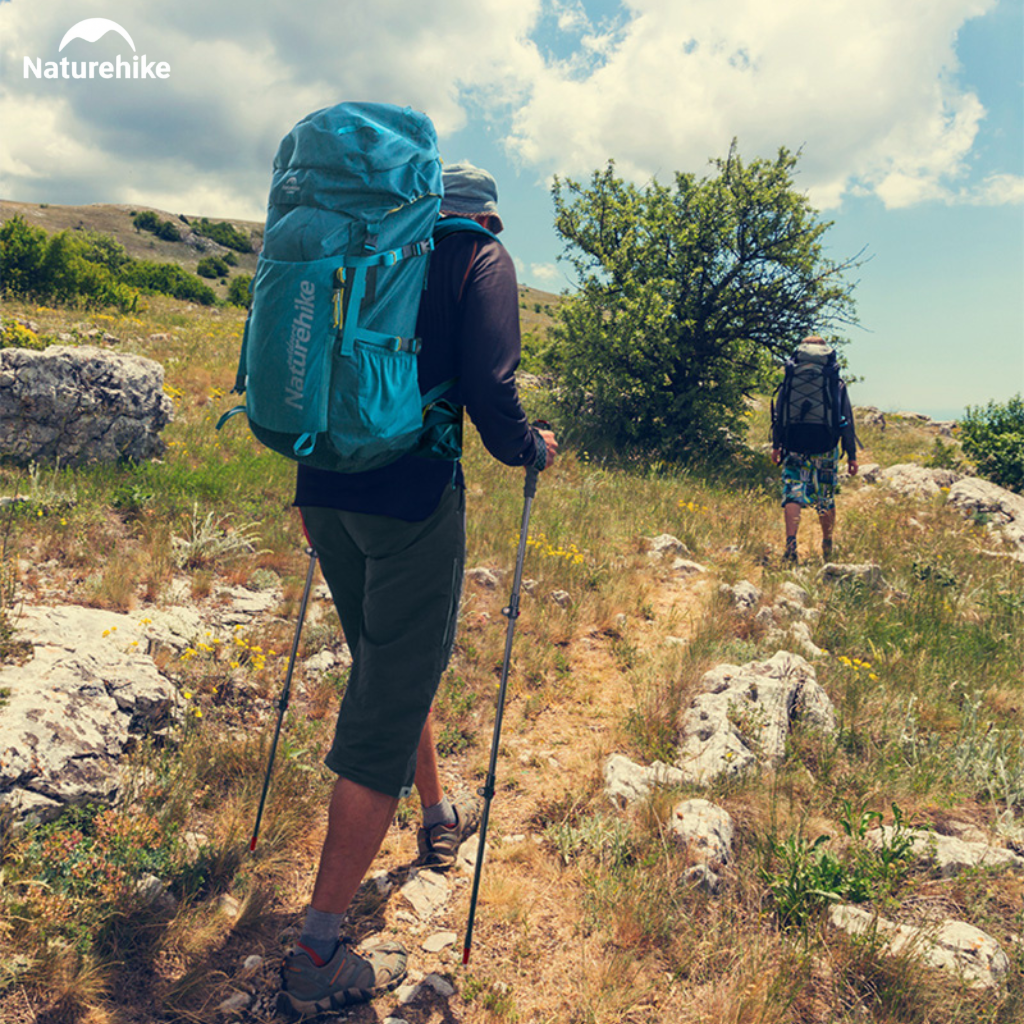 Gậy Trekking Naturehike NH19S010-T Sợi Carbon Siêu Nhẹ 135g Gấp Gọn Điều Chỉnh 57-130cm Leo Núi Dã Ngoại (TẶNG KÈM HỘP)