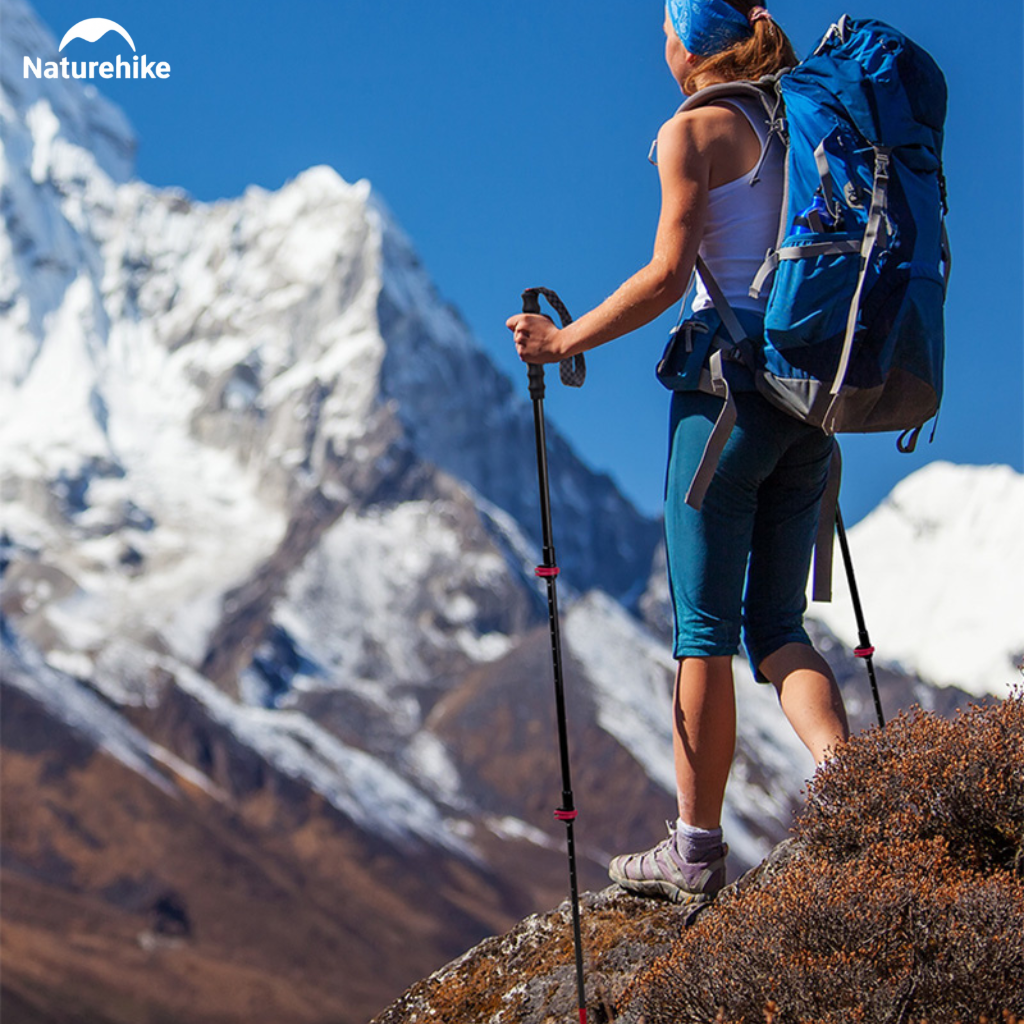 Gậy Trekking Naturehike NH19S010-T Sợi Carbon Siêu Nhẹ 135g Gấp Gọn Điều Chỉnh 57-130cm Leo Núi Dã Ngoại (TẶNG KÈM HỘP)