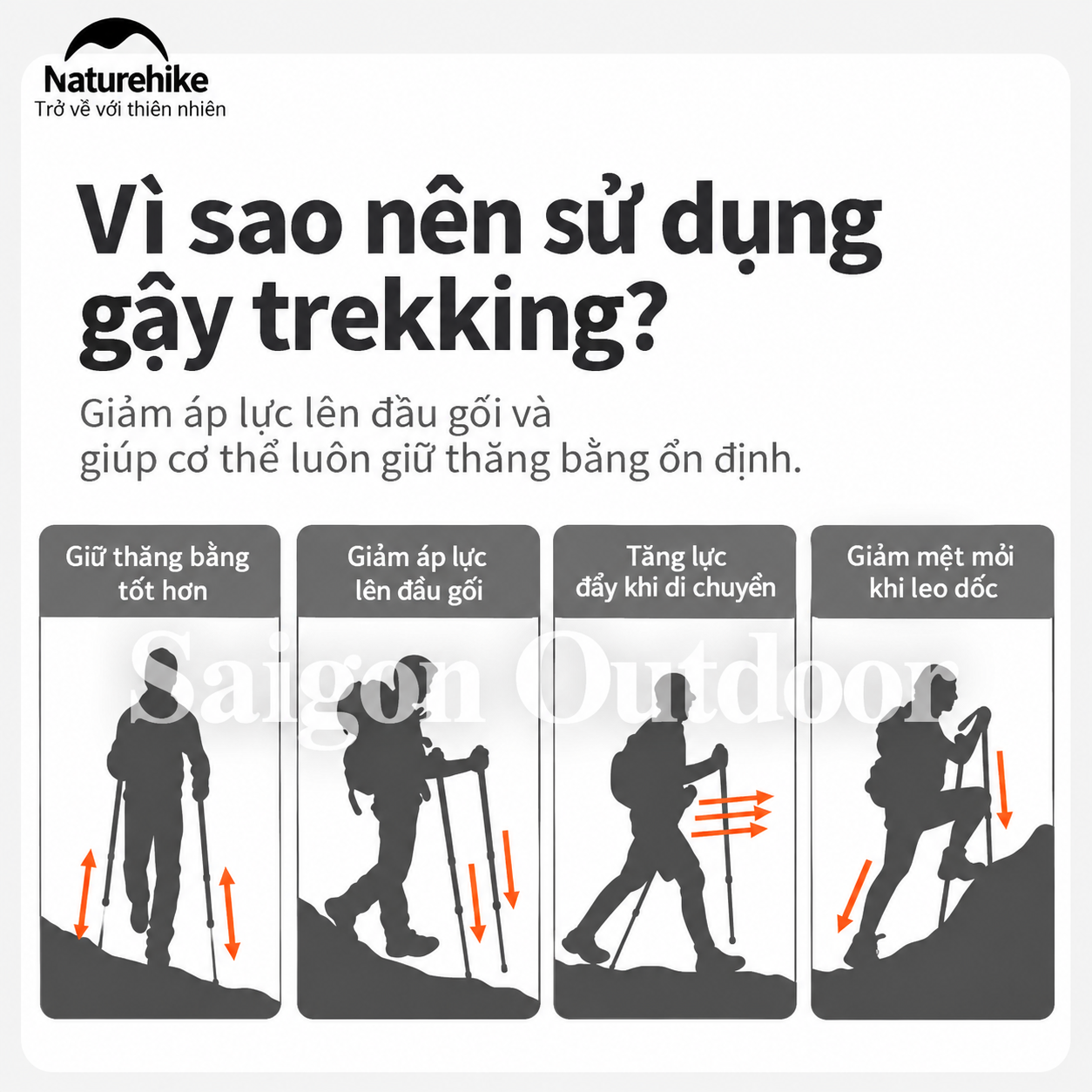 Gậy Trekking Naturehike 3 Khúc Carbon 3K – Siêu Nhẹ 193g, Điều Chỉnh Linh Hoạt NH20DS003